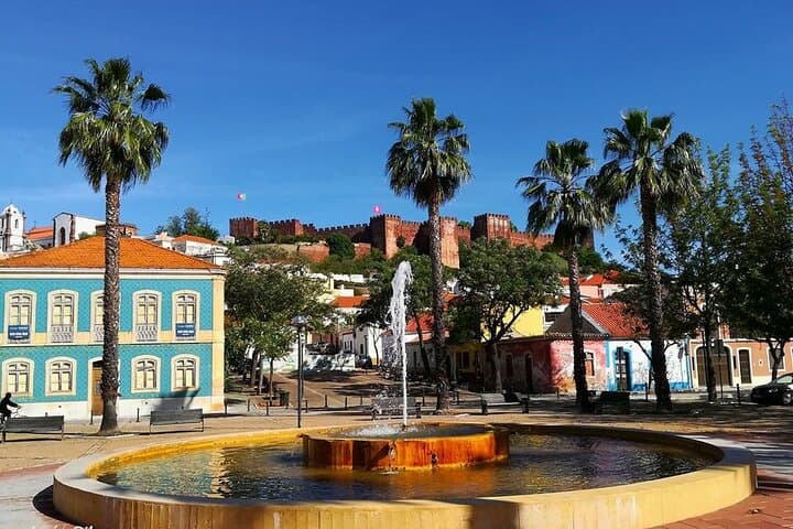 Silves Full-Day Wine Tour: Castle Walk, Market & Quinta Tasting photo 3