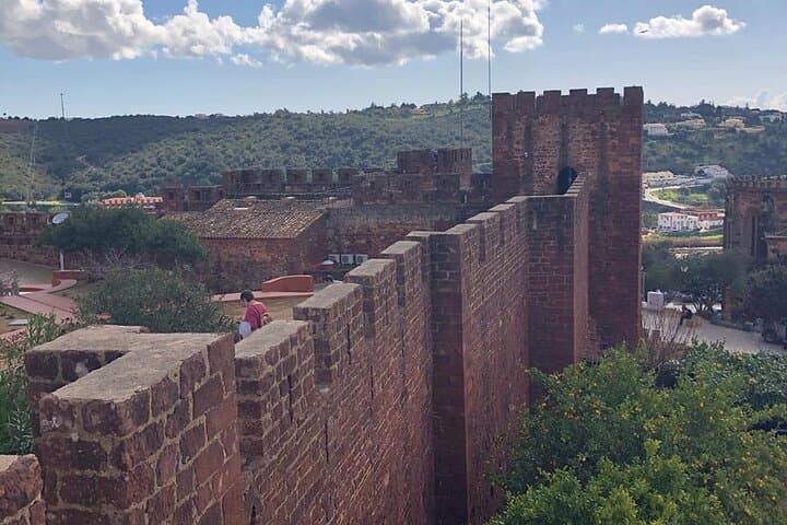 Silves Full-Day Wine Tour: Castle Walk, Market & Quinta Tasting photo 5