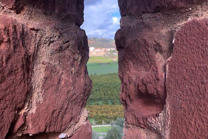 Silves Full-Day Wine Tour: Castle Walk, Market & Quinta Tasting photo 6