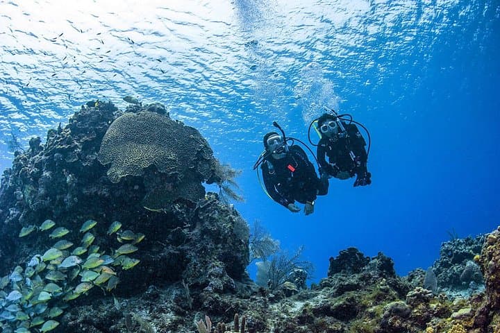 Fujairah PADI Open Water Diver Course — 3-Day Scuba Certification on the Gulf of Oman photo 1