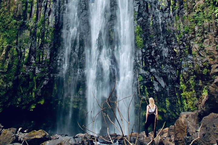 Materuni Waterfall & Kilimanjaro Coffee Day Tour — Private Trip from Moshi