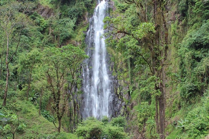 Materuni Waterfall & Kilimanjaro Coffee Day Tour — Private Trip from Moshi photo 2