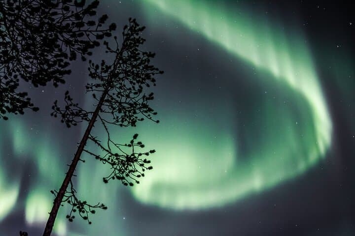 Aurora Hunting Photo Tour from Rovaniemi: Night Chase & Photography Tips photo 2