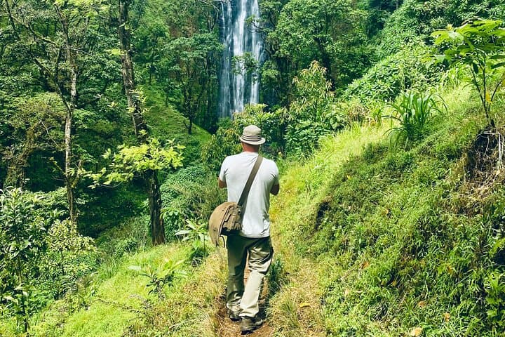Materuni Waterfall & Kilimanjaro Coffee Day Tour — Private Trip from Moshi photo 4