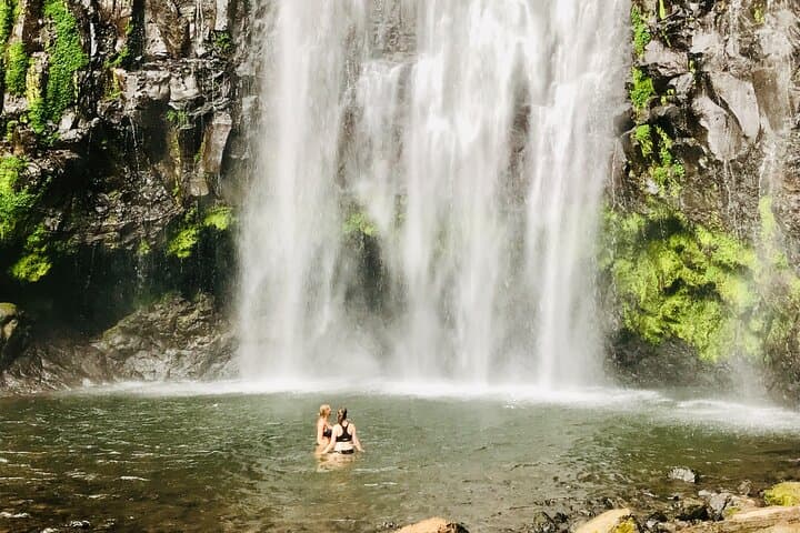 Materuni Waterfall & Kilimanjaro Coffee Day Tour — Private Trip from Moshi photo 6