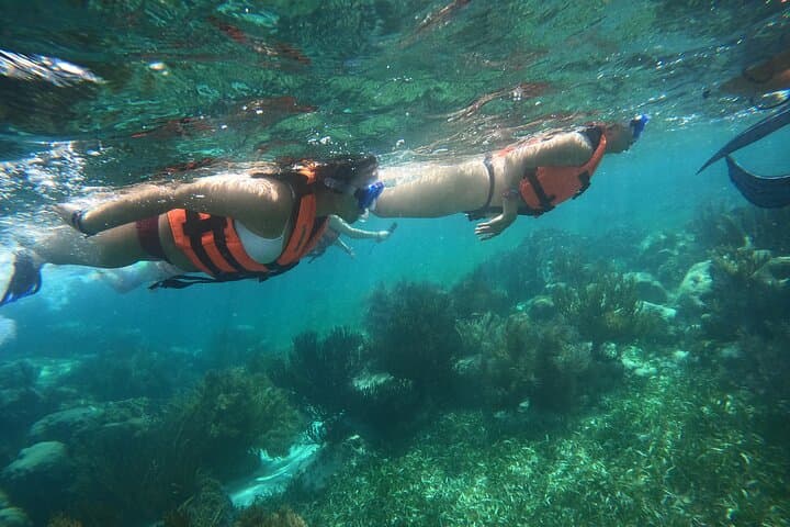 Snorkel Puerto Morelos Reef: Guided Boat Snorkel with Hotel Transport photo 2