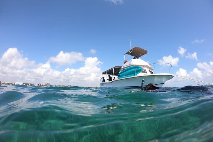 Snorkel Puerto Morelos Reef: Guided Boat Snorkel with Hotel Transport photo 1