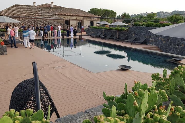 Mount Etna Silvestri Craters and Winery Day Trip from Catania photo 6