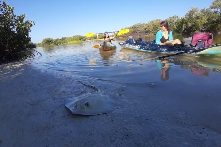 Paddling the Mangroves: Kayak Experience in Holbox Island photo 3
