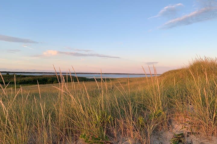 Three-Hour Private Sightseeing Tour of Martha's Vineyard: Island Highlights