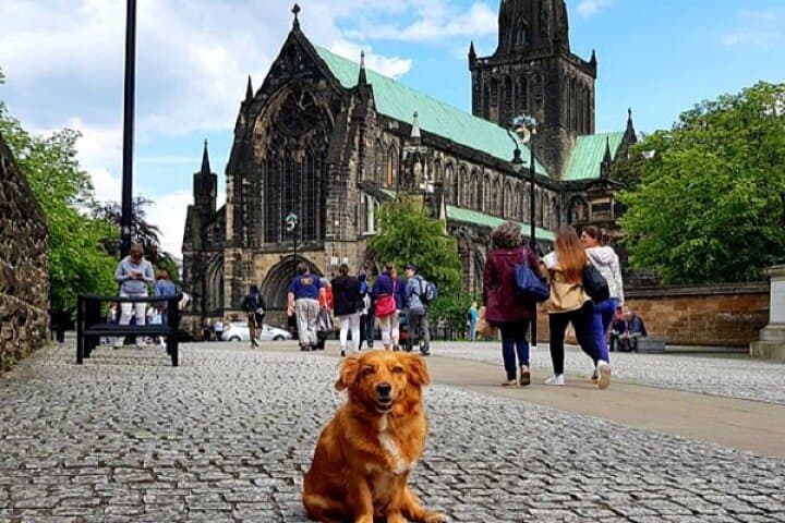 Glasgow Gander Walking Tour — 3-Hour City Centre History Walk photo 3