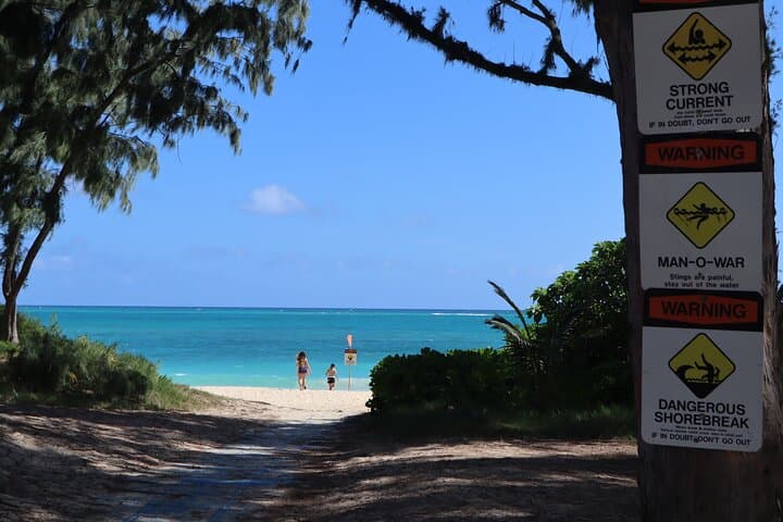 South East Oahu Adventure: Surf, Hikes & Hidden Beaches with a Local Guide photo 6