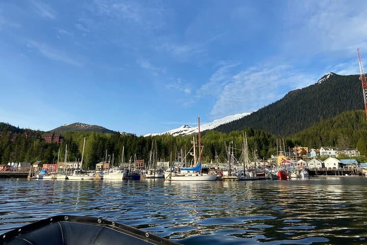 Exploring Alaska’s Ocean Wilderness: Zodiac Adventure from Ketchikan photo 4