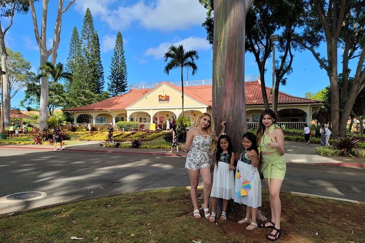 Circle-Island Oahu Tour: Byodo-In Temple & Waimea Waterfall Swim photo 2