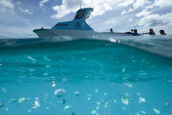 Kayak, Snorkel & Surf with Waikiki Turtles: Guided Oahu Ocean Adventure photo 2