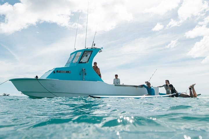 Kayak, Snorkel & Surf with Waikiki Turtles: Guided Oahu Ocean Adventure photo 3