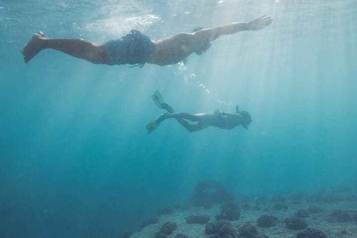Kayak, Snorkel & Surf with Waikiki Turtles: Guided Oahu Ocean Adventure photo 4