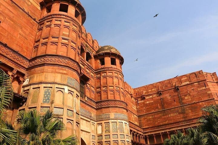 Sunrise Taj Mahal & Agra Fort Private Tour — Red Taj and Mehtab Bagh Views photo 6