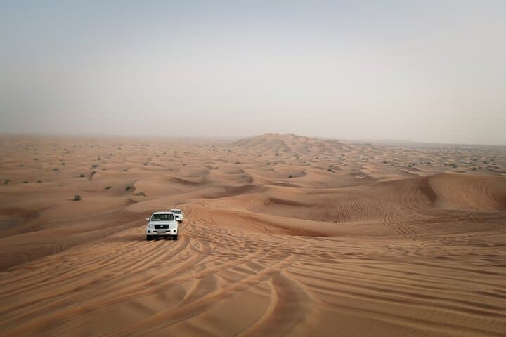 Dubai & Abu Dhabi: 5-Day City Tours and Desert Safari photo 3