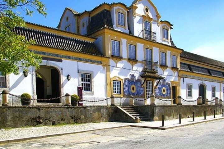 Private Arrábida & Sesimbra Day Trip from Lisbon — Beaches, Cliffs and Local Seafood photo 4