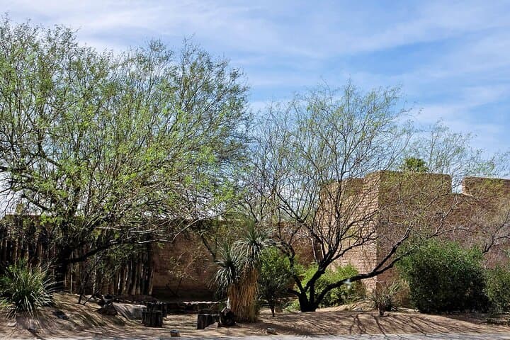Downtown Tucson Audio Walking Tour with Historian Jim Turner photo 5