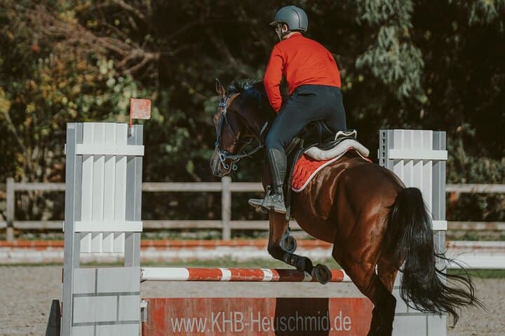 Marmaris Equestrian Experience: Horseback Lessons, Pony Rides & Riding Club Visit