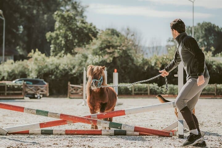Marmaris Equestrian Experience: Horseback Lessons, Pony Rides & Riding Club Visit photo 6