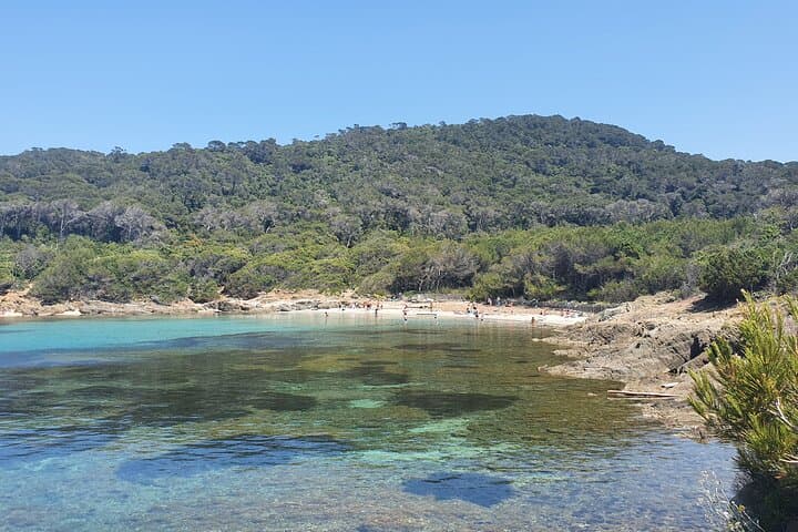 Private Boat Trip Around Port-Cros: Day Cruise from Hyères photo 6