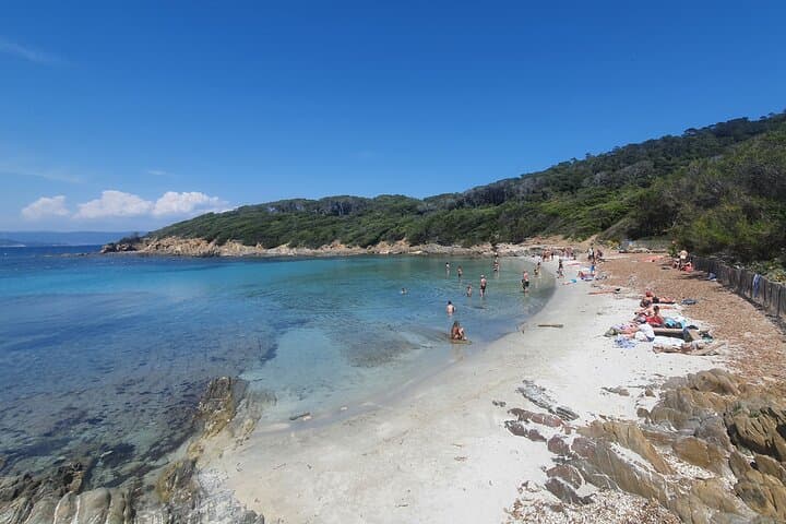 Private Boat Trip Around Port-Cros: Day Cruise from Hyères photo 2