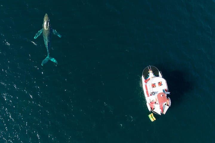 Private Yacht Charter on ChicaFun 1: Waterslides & Snorkel in Banderas Bay photo 3
