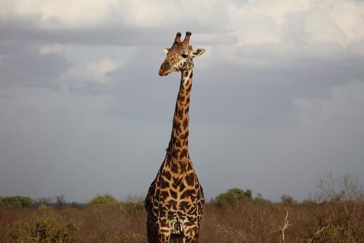 5-Day Masai Mara Safari & Hells Gate Adventure with Lake Naivasha photo 3