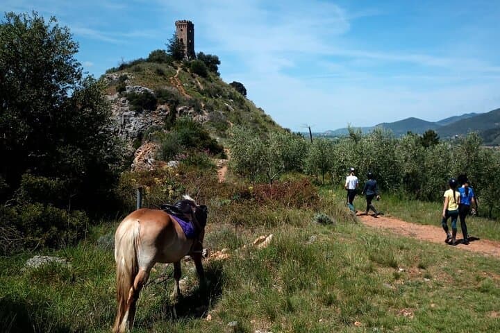 Expert Horseback Ride in Valgraziosa: Monti Pisani Trails near Pisa