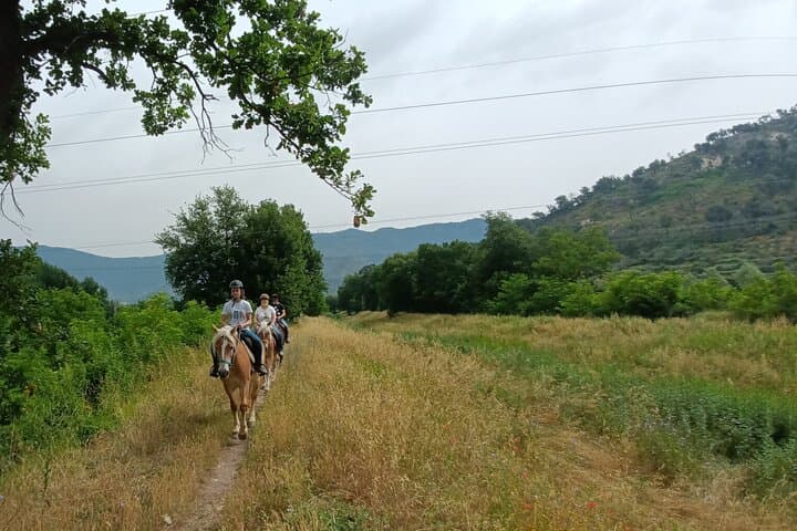 Expert Horseback Ride in Valgraziosa: Monti Pisani Trails near Pisa photo 3