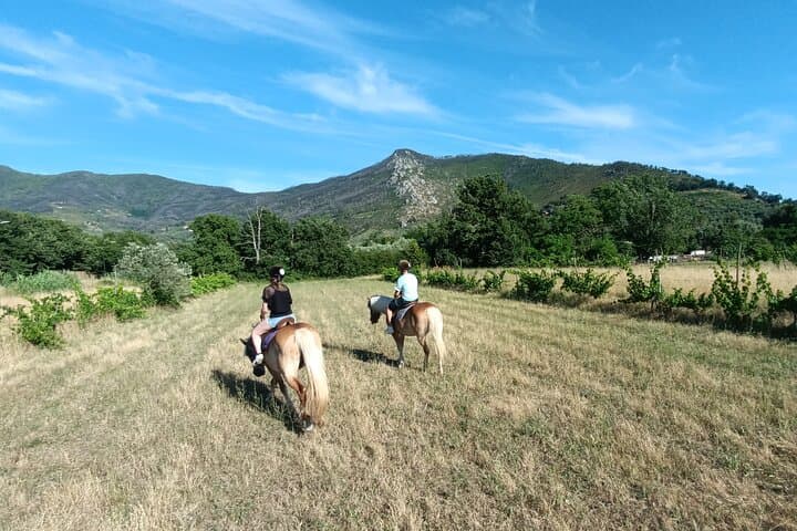 Expert Horseback Ride in Valgraziosa: Monti Pisani Trails near Pisa photo 4