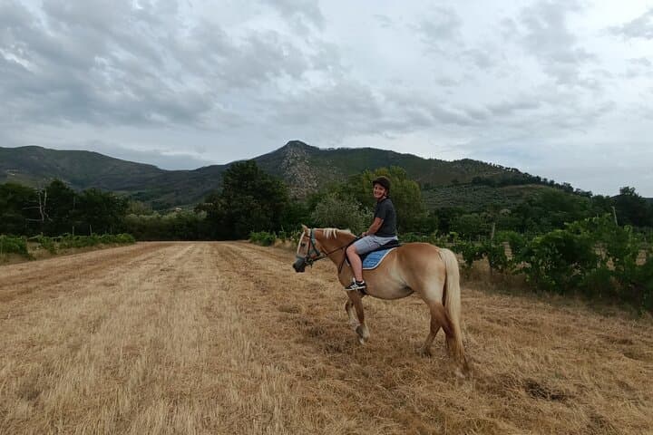 Expert Horseback Ride in Valgraziosa: Monti Pisani Trails near Pisa photo 5