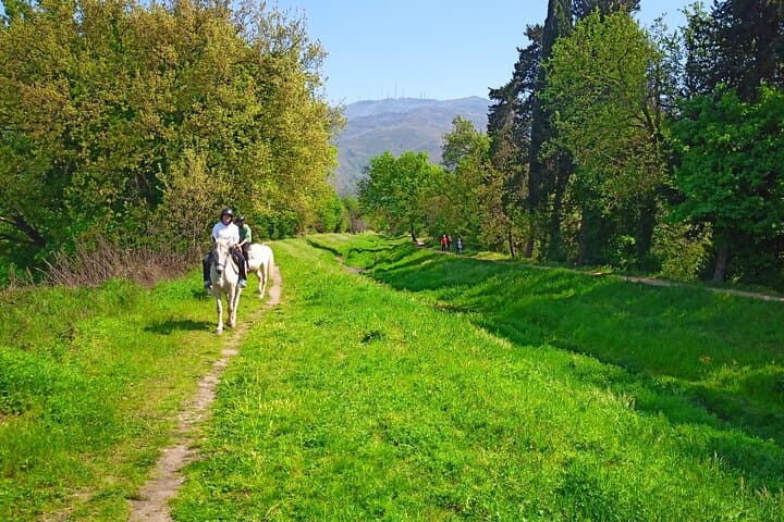 Expert Horseback Ride in Valgraziosa: Monti Pisani Trails near Pisa photo 6