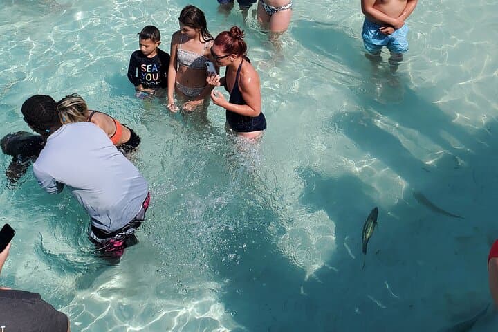 Fly to Exuma: Half-Day Swimming Pigs, Sharks & Staniel Cay by Plane photo 4