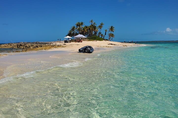 Fly to Exuma: Half-Day Swimming Pigs, Sharks & Staniel Cay by Plane photo 5