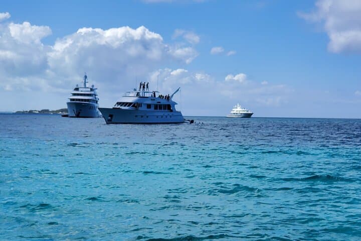 Fly to Exuma: Half-Day Swimming Pigs, Sharks & Staniel Cay by Plane photo 6