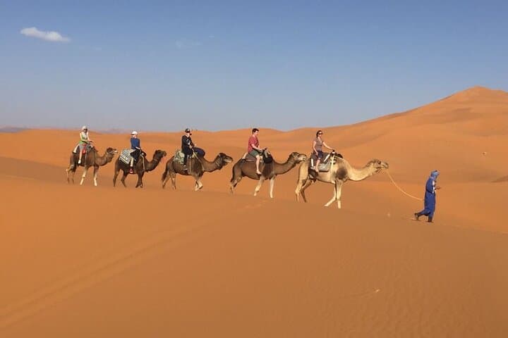 Two-Day Sahara Escape: Marrakech to Zagora via Ait Ben Haddou