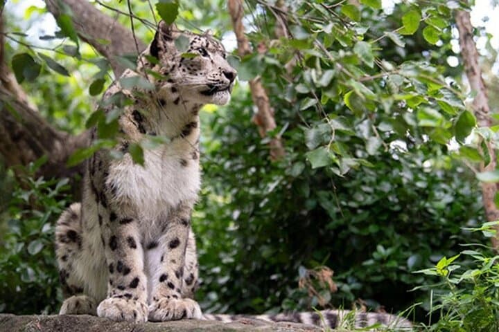 Central Park Zoo Tickets & 4D Theater: What to Know Before You Go photo 3