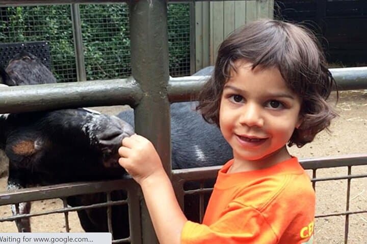 Central Park Zoo Tickets & 4D Theater: What to Know Before You Go photo 2