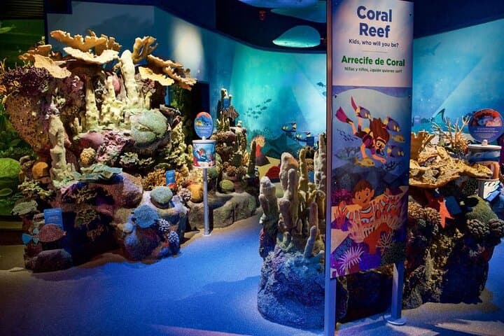 New York Aquarium Admission: Coney Island Tickets & Visitor Guide photo 4