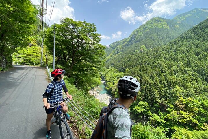 Cycle Okutama: Historic Road, Lake Views & Wasabi Fields Near Tokyo