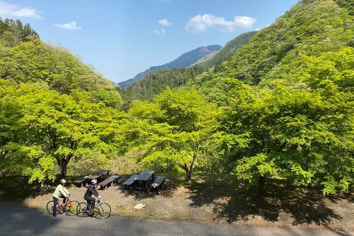Cycle Okutama: Historic Road, Lake Views & Wasabi Fields Near Tokyo photo 2