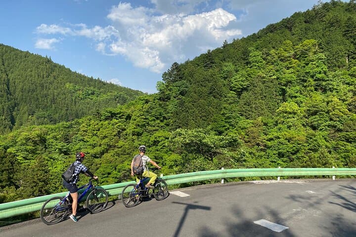 Cycle Okutama: Historic Road, Lake Views & Wasabi Fields Near Tokyo photo 3