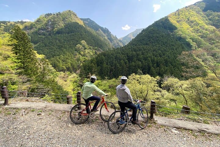 Cycle Okutama: Historic Road, Lake Views & Wasabi Fields Near Tokyo photo 4