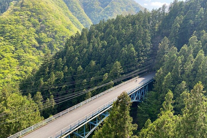 Cycle Okutama: Historic Road, Lake Views & Wasabi Fields Near Tokyo photo 5
