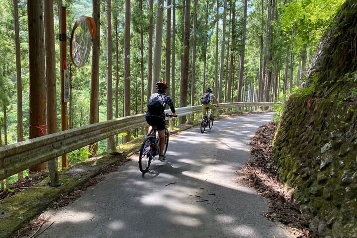 Cycle Okutama: Historic Road, Lake Views & Wasabi Fields Near Tokyo photo 6