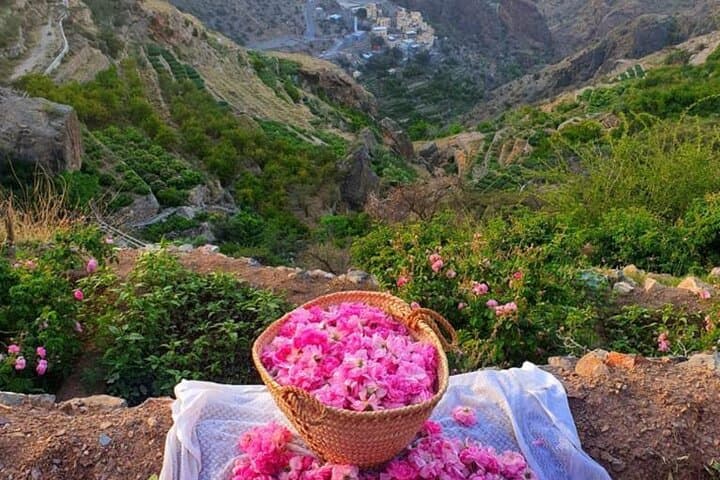 Jabal Al Akhdhar Damascus Roses Tour — Green Mountain Day Trip from Nizwa photo 2